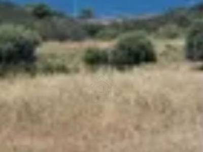 ΟΙΚΟΠΕΔΟ 1.100ΤΜ  500.000ΕΥΡΩ