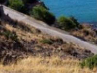 ΟΙΚΟΠΕΔΟ 6.400ΤΜ  300.000ΕΥΡΩ