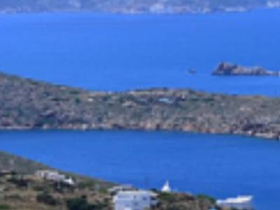 ΟΙΚΟΠΕΔΟ 10.000ΤΜ  500.000ΕΥΡΩ