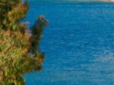 ΟΙΚΟΠΕΔΟ 5.000ΤΜ  1.200.000ΕΥΡΩ
