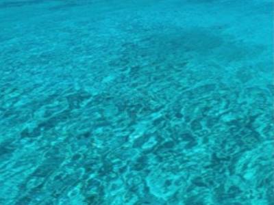 ΟΙΚΟΠΕΔΟ 5.800ΤΜ  700.000ΕΥΡΩ