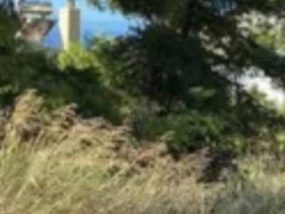 ΟΙΚΟΠΕΔΟ 1.231ΤΜ  4.000.000ΕΥΡΩ