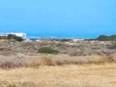 ΟΙΚΟΠΕΔΟ 80.000ΤΜ  700.000ΕΥΡΩ