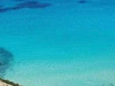 ΟΙΚΟΠΕΔΟ 36.000ΤΜ  2.500.000ΕΥΡΩ
