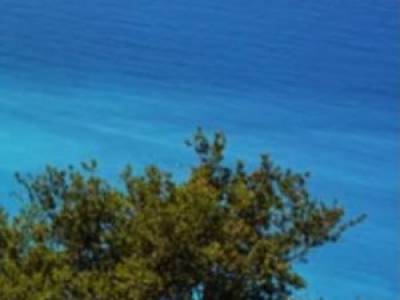 ΟΙΚΟΠΕΔΟ 60.000ΤΜ  12.000.000ΕΥΡΩ