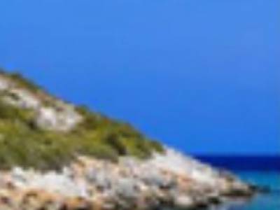 ΟΙΚΟΠΕΔΟ 96.000ΤΜ  800.000ΕΥΡΩ