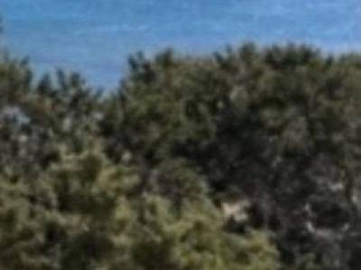 ΜΟΝΟΚΑΤΟΙΚΙΑ 300ΤΜ  350.000ΕΥΡΩ 