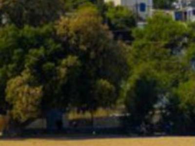 ΟΙΚΟΠΕΔΟ 700ΤΜ  100.000ΕΥΡΩ