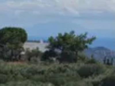 ΟΙΚΟΠΕΔΟ 5.500ΤΜ  150.000ΕΥΡΩ