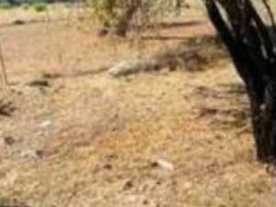ΟΙΚΟΠΕΔΟ 1.520ΤΜ  4.000.000ΕΥΡΩ
