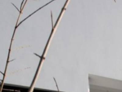 ΜΟΝΟΚΑΤΟΙΚΙΑ 200ΤΜ  950.000ΕΥΡΩ