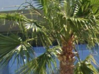 ΜΟΝΟΚΑΤΟΙΚΙΑ 450ΤΜ  12.000.000ΕΥΡΩ
