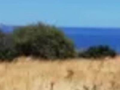 ΟΙΚΟΠΕΔΟ 35.000ΤΜ  1.000.000ΕΥΡΩ