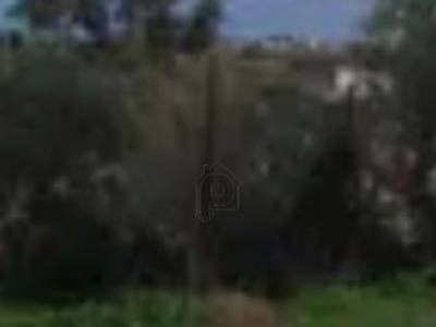ΟΙΚΟΠΕΔΟ 20.000ΤΜ  1.200.000ΕΥΡΩ