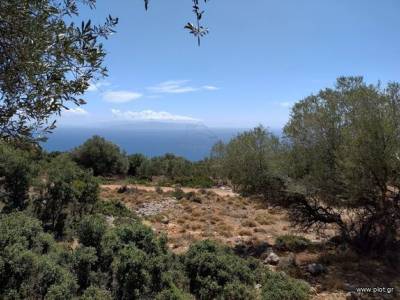 ΟΙΚΟΠΕΔΟ 5.800ΤΜ  350.000ΕΥΡΩ