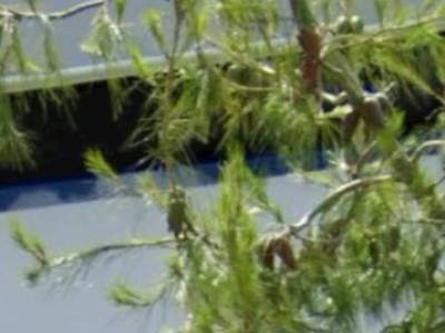 ΜΟΝΟΚΑΤΟΙΚΙΑ 150ΤΜ  2.200ΕΥΡΩ