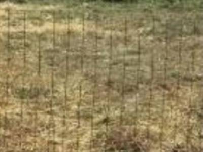 ΟΙΚΟΠΕΔΟ 570ΤΜ  600.000ΕΥΡΩ