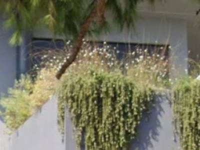 ΜΕΖΟΝΕΤΑ 277ΤΜ  1.000.000ΕΥΡΩ