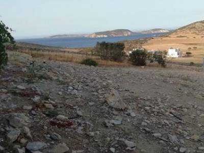ΟΙΚΟΠΕΔΟ 4.600ΤΜ  420.000ΕΥΡΩ