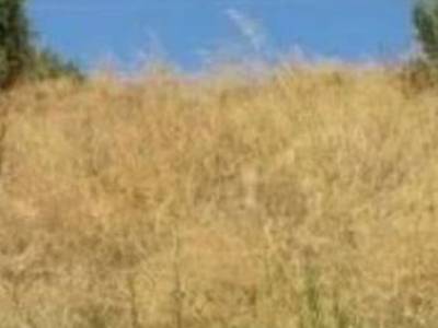 ΟΙΚΟΠΕΔΟ 472ΤΜ  800.000ΕΥΡΩ
