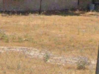 ΟΙΚΟΠΕΔΟ 517ΤΜ  1.000.000ΕΥΡΩ