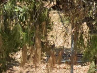 ΟΙΚΟΠΕΔΟ 351ΤΜ  600.000ΕΥΡΩ