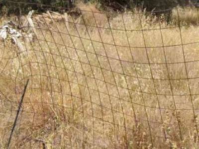 ΟΙΚΟΠΕΔΟ 647ΤΜ  900.000ΕΥΡΩ