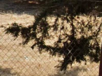 ΟΙΚΟΠΕΔΟ 286ΤΜ  800.000ΕΥΡΩ