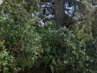 ΟΙΚΟΠΕΔΟ 467ΤΜ  900.000ΕΥΡΩ