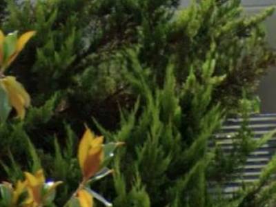 ΟΡΟΦΔΙΑΜΕΡΙΣΜΑ 95ΤΜ  1.400ΕΥΡΩ