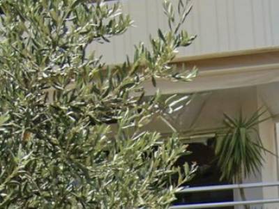 ΜΕΖΟΝΕΤΑ 80ΤΜ  1.400ΕΥΡΩ