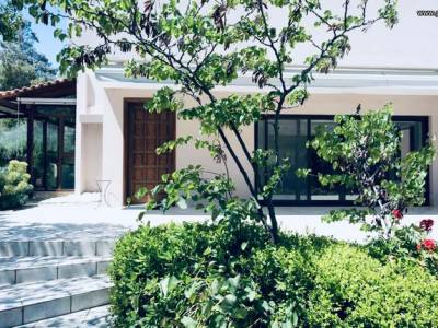 ΜΟΝΟΚΑΤΟΙΚΙΑ 140ΤΜ  1.000ΕΥΡΩ