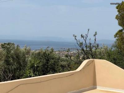 ΟΙΚΟΠΕΔΟ 4.300ΤΜ  650.000ΕΥΡΩ