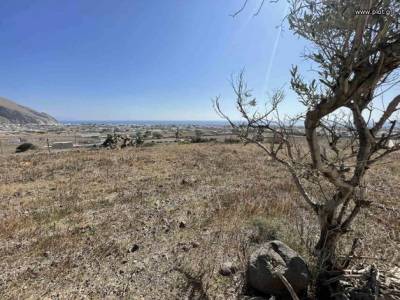 ΟΙΚΟΠΕΔΟ 3.857ΤΜ  100.000ΕΥΡΩ