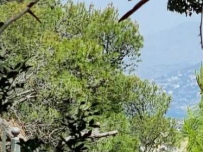 ΟΙΚΟΠΕΔΟ 752ΤΜ  500.000ΕΥΡΩ