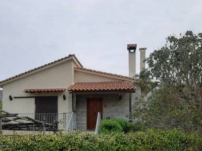 ΜΟΝΟΚΑΤΟΙΚΙΑ 65ΤΜ  700ΕΥΡΩ