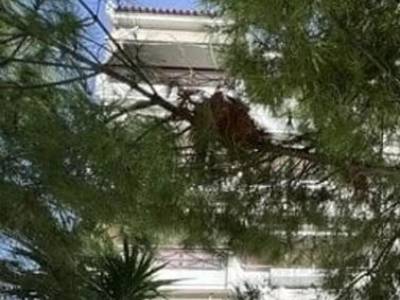 ΟΡΟΦΔΙΑΜΕΡΙΣΜΑ 90ΤΜ  1.100ΕΥΡΩ