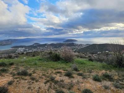 ΟΙΚΟΠΕΔΟ 760ΤΜ  250.000ΕΥΡΩ