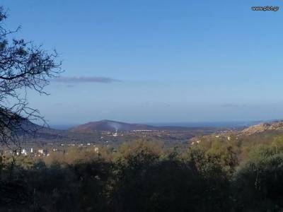 ΟΙΚΟΠΕΔΟ 4.100ΤΜ  150.000ΕΥΡΩ