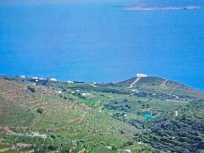 ΟΙΚΟΠΕΔΟ 9.489ΤΜ  120.000ΕΥΡΩ