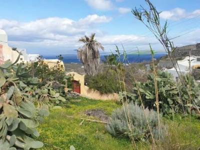 ΟΙΚΟΠΕΔΟ 210ΤΜ  380.000ΕΥΡΩ
