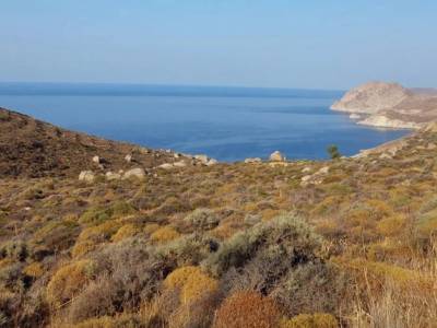 ΟΙΚΟΠΕΔΟ 7.258ΤΜ  260.000ΕΥΡΩ
