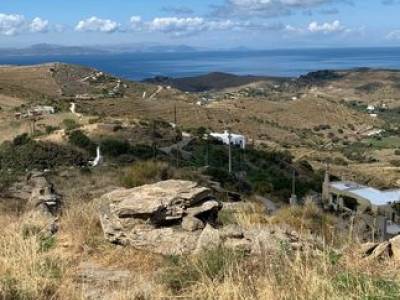 ΟΙΚΟΠΕΔΟ 5.300ΤΜ  110.000ΕΥΡΩ