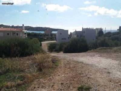 ΟΙΚΟΠΕΔΟ 200ΤΜ  50.000ΕΥΡΩ