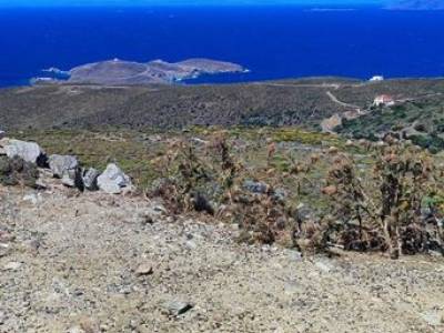ΟΙΚΟΠΕΔΟ 5.500ΤΜ  90.000ΕΥΡΩ