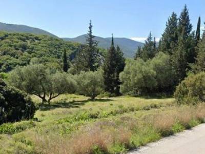 ΟΙΚΟΠΕΔΟ 9.000ΤΜ  200.000ΕΥΡΩ