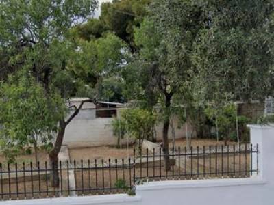 ΟΙΚΟΠΕΔΟ 235ΤΜ  60.000ΕΥΡΩ