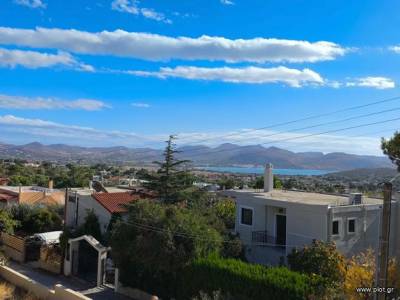 ΜΕΖΟΝΕΤΑ 100ΤΜ  750ΕΥΡΩ