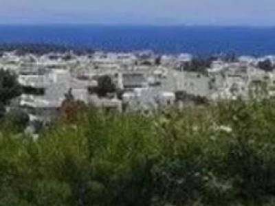 ΟΙΚΟΠΕΔΟ 600ΤΜ  520.000ΕΥΡΩ