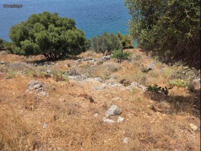 ΟΙΚΟΠΕΔΟ 2.049ΤΜ  175.000ΕΥΡΩ